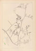 Ranskalaisen kasvilajiston herbarium Pl0466 - Louis Antoine Cusin — näkymä teoksesta