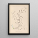 Ranskalaisen kasvilajiston herbarium Pl0479 - Louis Antoine Cusin — kehystetty taideteos seinällä
