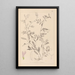 Ranskalaisen kasvilajiston herbarium Pl0480 - Louis Antoine Cusin — kehystetty taideteos seinällä