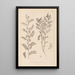 Ranskan kasvilajiston herbarium Pl0490 - Louis Antoine Cusin — kehystetty taideteos seinällä