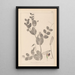 Ranskan kasvilajiston herbarium Pl0491 - Louis Antoine Cusin — kehystetty taideteos seinällä