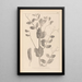 Ranskan kasvilajiston herbarium Pl0492 - Louis Antoine Cusin — kehystetty taideteos seinällä