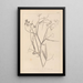Ranskan kasvilajiston herbarium Pl0508 - Louis Antoine Cusin — kehystetty taideteos seinällä