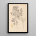 Ranskan kasvilajiston herbarium Pl0513 - Louis Antoine Cusin — kehystetty taideteos seinällä