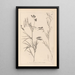 Ranskan kasvilajiston herbarium Pl0516 - Louis Antoine Cusin — kehystetty taideteos seinällä