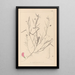 Ranskan kasvilajiston herbarium Pl0523 - Louis Antoine Cusin — kehystetty taideteos seinällä