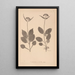 Ranskan kasvilajien herbarium Pl0688 - Louis Antoine Cusin — kehystetty taideteos seinällä