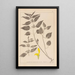 Ranskalaisen kasvilajiston herbarium Pl0832 - Louis Antoine Cusin — kehystetty taideteos seinällä