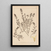 Ranskalaisen kasvilajiston herbarium Pl0873 - Louis Antoine Cusin — kehystetty taideteos seinällä