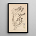 Ranskalaisen kasvilajiston herbarium Pl0879 - Louis Antoine Cusin — kehystetty taideteos seinällä