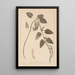 Ranskalaisen kasvilajiston herbarium Pl0880 - Louis Antoine Cusin — kehystetty taideteos seinällä