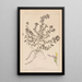 Ranskalaisen kasvilajiston herbarium Pl0903 - Louis Antoine Cusin — kehystetty taideteos seinällä