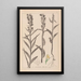 Ranskan kasvilajiston herbarium Pl0984 - Louis Antoine Cusin — kehystetty taideteos seinällä