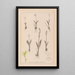 Ranskan kasvilajiston herbarium Pl0997 - Louis Antoine Cusin — kehystetty taideteos seinällä