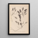 Ranskalaisen kasvilajiston herbarium Pl1071 - Louis Antoine Cusin — kehystetty taideteos seinällä