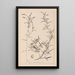 Ranskalaisen kasvilajiston herbarium Pl1073 - Louis Antoine Cusin — kehystetty taideteos seinällä