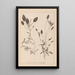 Ranskalaisen kasvilajiston herbarium Pl1074 - Louis Antoine Cusin — kehystetty taideteos seinällä