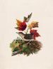 Oiseau avec des feuilles d'automne - Louis Prang — näkymä teoksesta