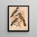 Un roi oiseau, un moucherolle à crête, un moucherolle pewee ou phbe - Louis Prang Co — kehystetty taideteos seinällä