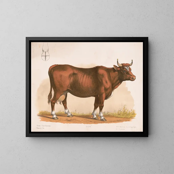 Vache - Louis Prang Co — kehystetty taideteos seinällä