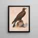 Aigle royal - Louis Prang Co — kehystetty taideteos seinällä