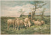 F:n lammasstudion - Louis Prang Co — näkymä teoksesta