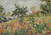 Kukkainen kenttä - Louis Valtat — näkymä teoksesta