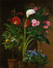 Oranger Streptocarpus Oleander Un Calla Lily Et Des Fleurs De Cactus - Louise Garlieb — näkymä teoksesta