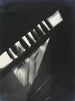 Photogramme - László Moholy-Nagy — näkymä teoksesta