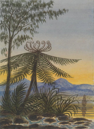 Lt Gen Charles Emilius Gold - View near Auckland EveningTrees and Ferns.webp