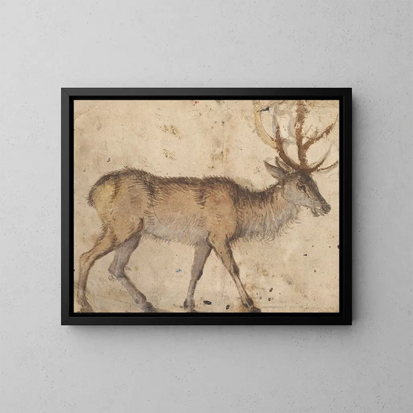 Study of a Deer - Lucas Cranach the Elder — kehystetty taideteos seinällä