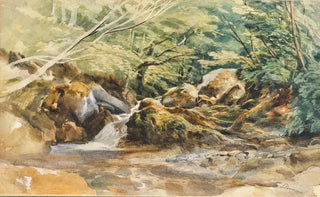 Ludwig Correggio - A torrent and shrubs study.webp