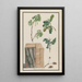 Kukkien, hedelmien ja tammen rungon tutkimukset - Quercus robur — kehystetty taideteos seinällä
