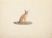 Caracal caracal - Luigi Balugani — näkymä teoksesta