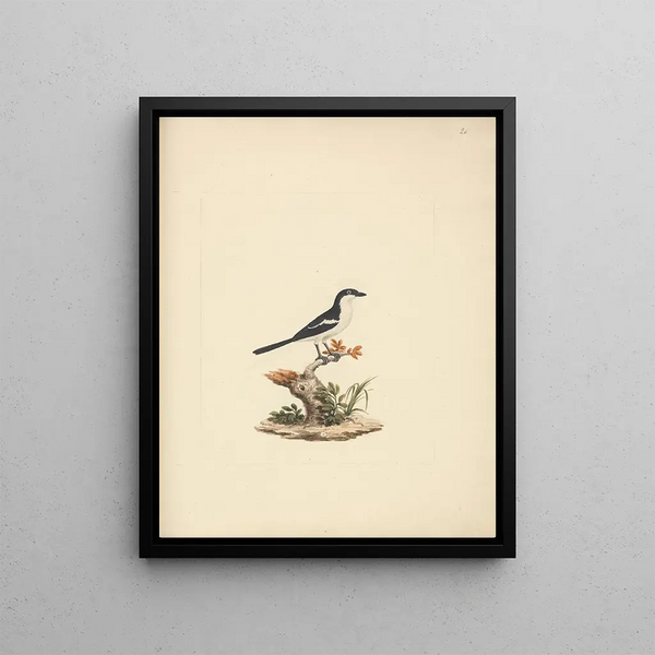 Luigi Balugani - Common Fiscal.webp