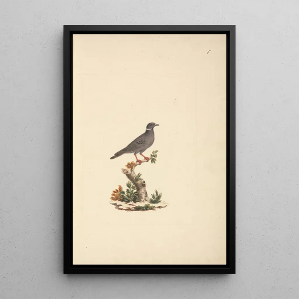 Luigi Balugani - Untitled Bird.webp