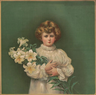 Lys de Pâques - Campbell Metzger Jacobson