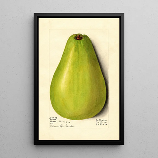 M Strange - Persea Butler.webp