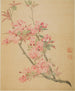 Wild Apple Blossom - Ma Yuanyu — näkymä teoksesta