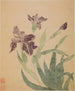 Iris-maalaus - Ma Yuanyu — näkymä teoksesta