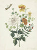 Nature morte aux fleurs - Machtelt Moninckx — näkymä teoksesta