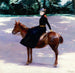 Mademoiselle Meuriot sur son poney - Jacquesmile Blanche — näkymä teoksesta