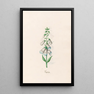 Magdelena Rosina Funck - Fingerht.webp