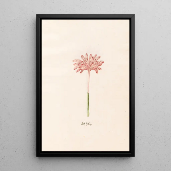 Magdelena Rosina Funck - Gef Zeitloss.webp