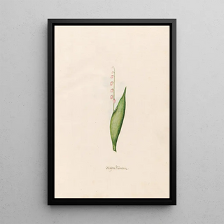 Magdelena Rosina Funck - Maen Blmlein.webp