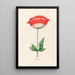 Coquelicot - Magdalena Rosina Funck — kehystetty taideteos seinällä