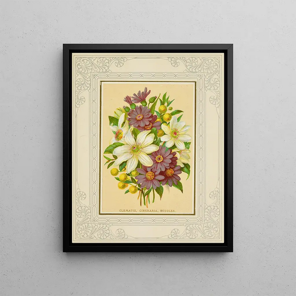 Marcus Ward Co - Clematis Cineraria Buddlea.webp