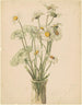 Marguerites et dentelle de la Reine Anne - Marietta Minnigerode Andrews — näkymä teoksesta