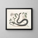 Frutex c Anguis c Le Serpent Noir - Mark Catesby — kehystetty taideteos seinällä