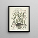 Poissons, serpents, insectes et quelques autres animaux, ainsi que quelques photos de plantes Pl028 - Mark Catesby — kehystetty taideteos seinällä